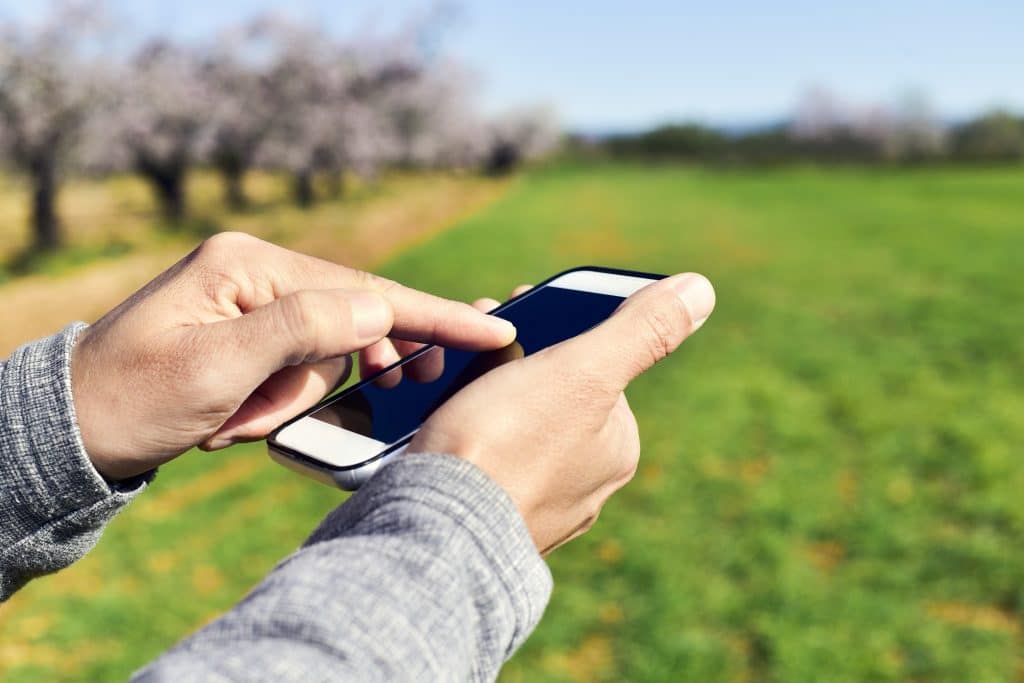 closeup of a young man using a smartphone in a natural landscape, with a grove of almond trees in full bloom in the background